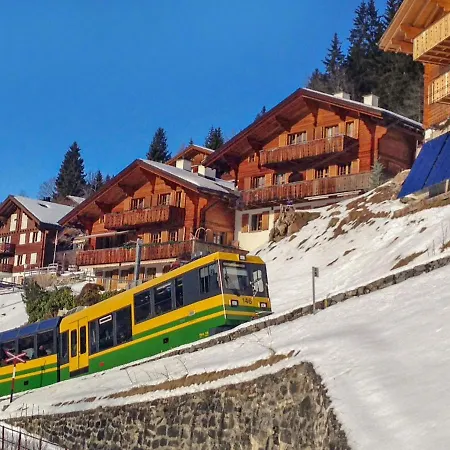 Chalet Bluemewäg Apartment