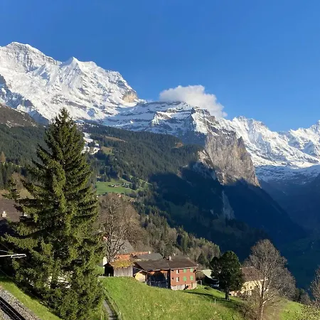 Bluemewaeg Apt-r By Interhome Appartement Wengen